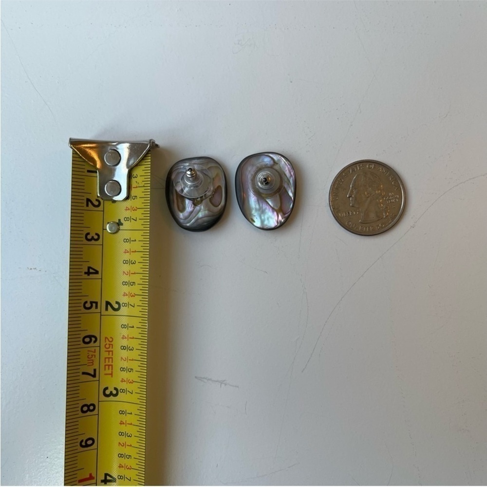 Abalone Shell Pierced Earrings - image 4